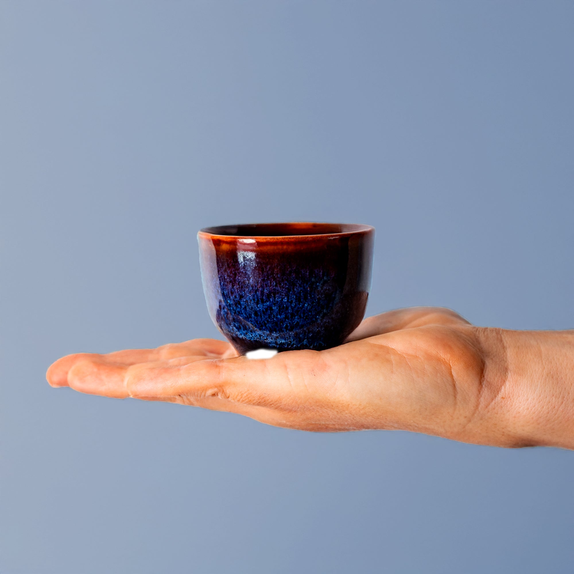 Condiment Bowl