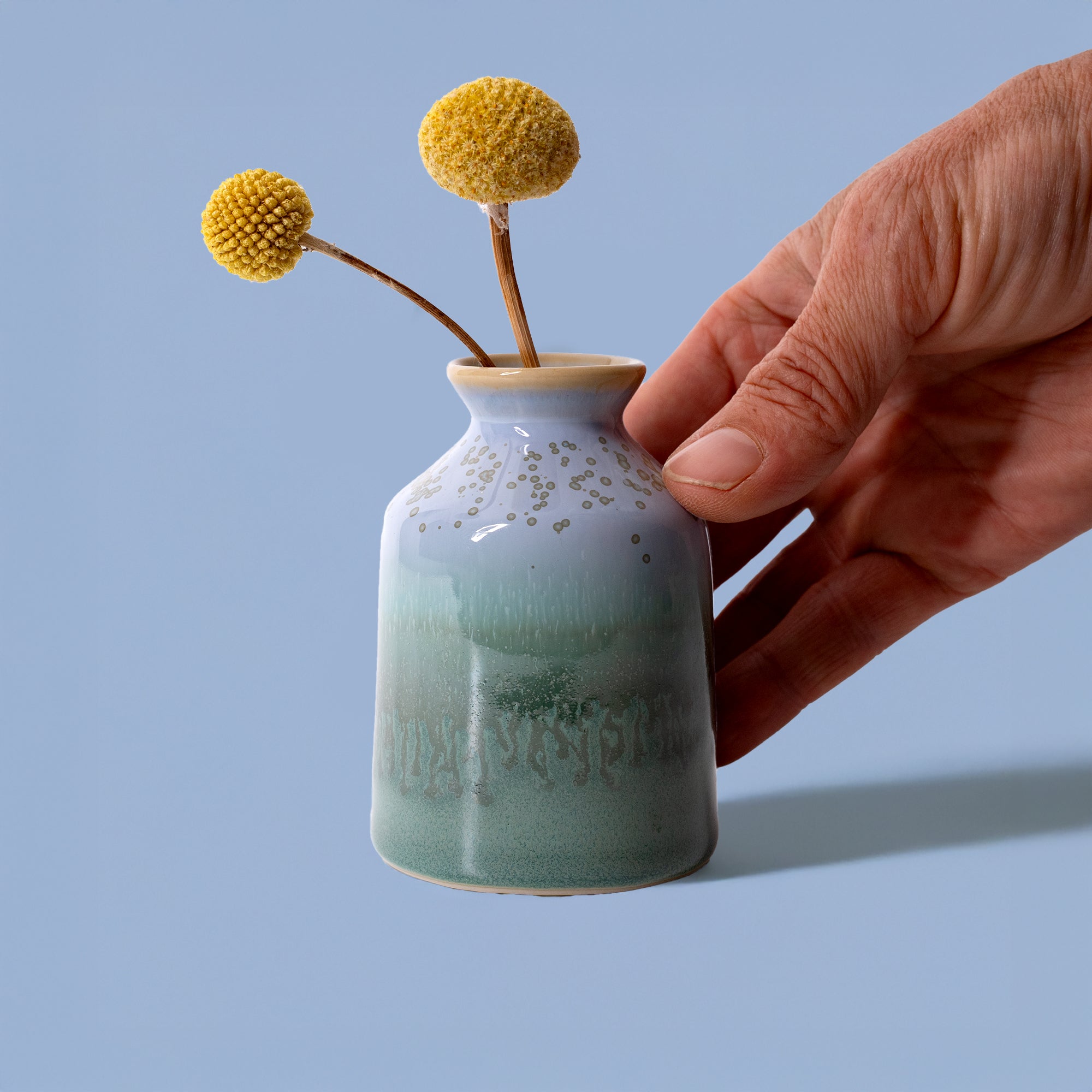 Mini Bottle Vase