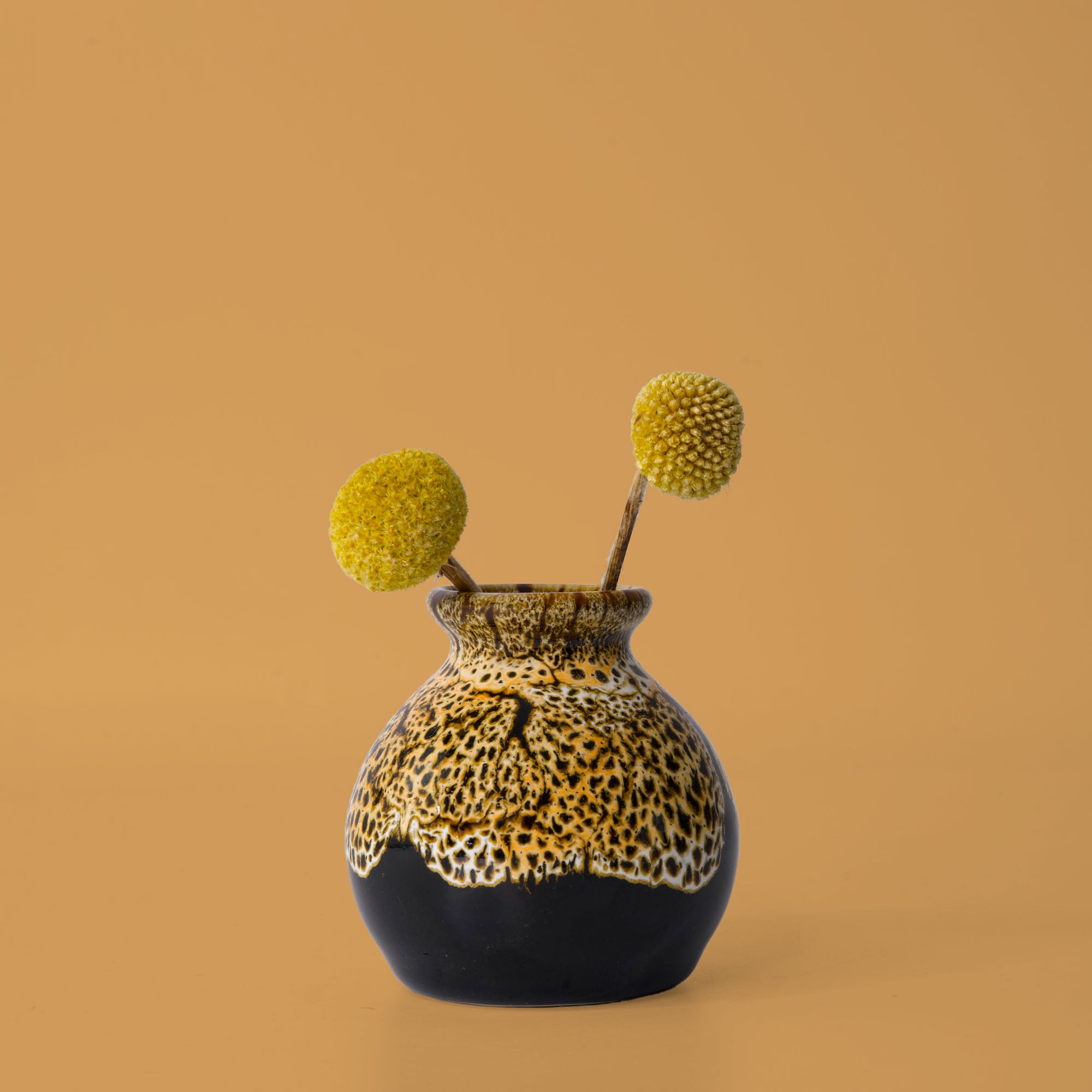 Cougar genie vase