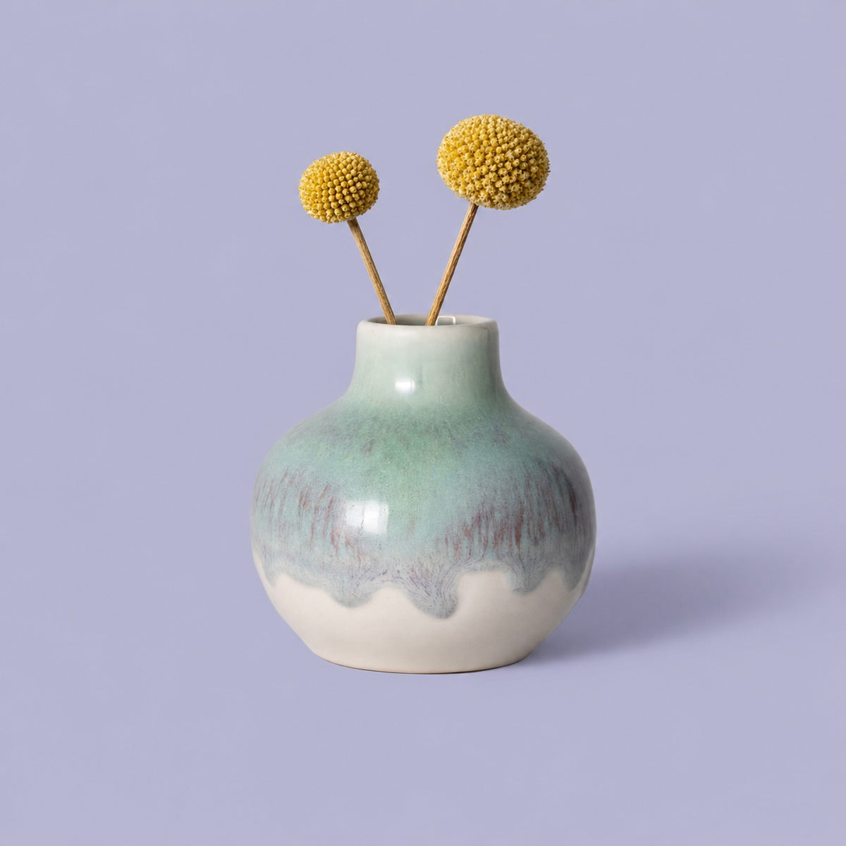 Obelia Vase