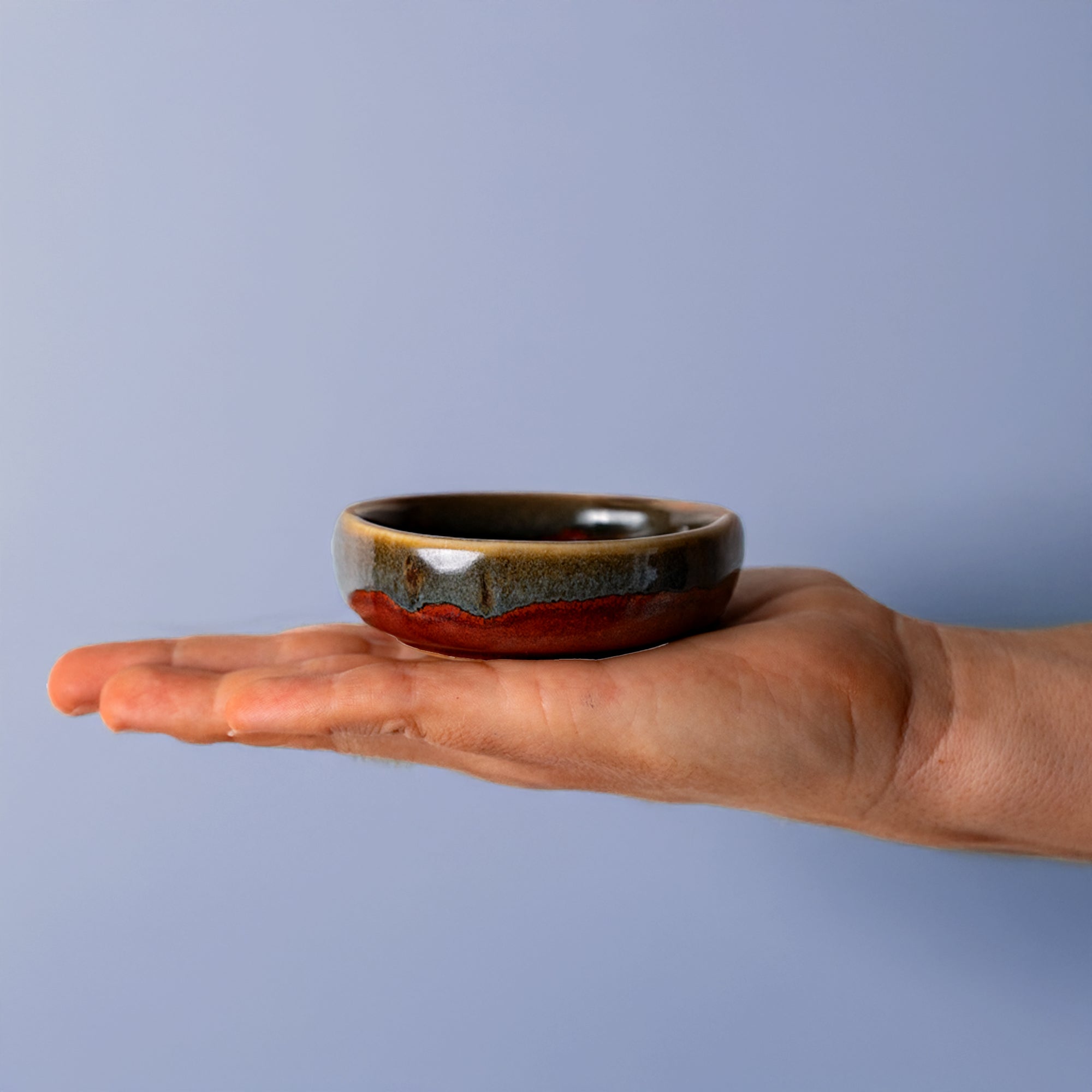 Condiment Bowl