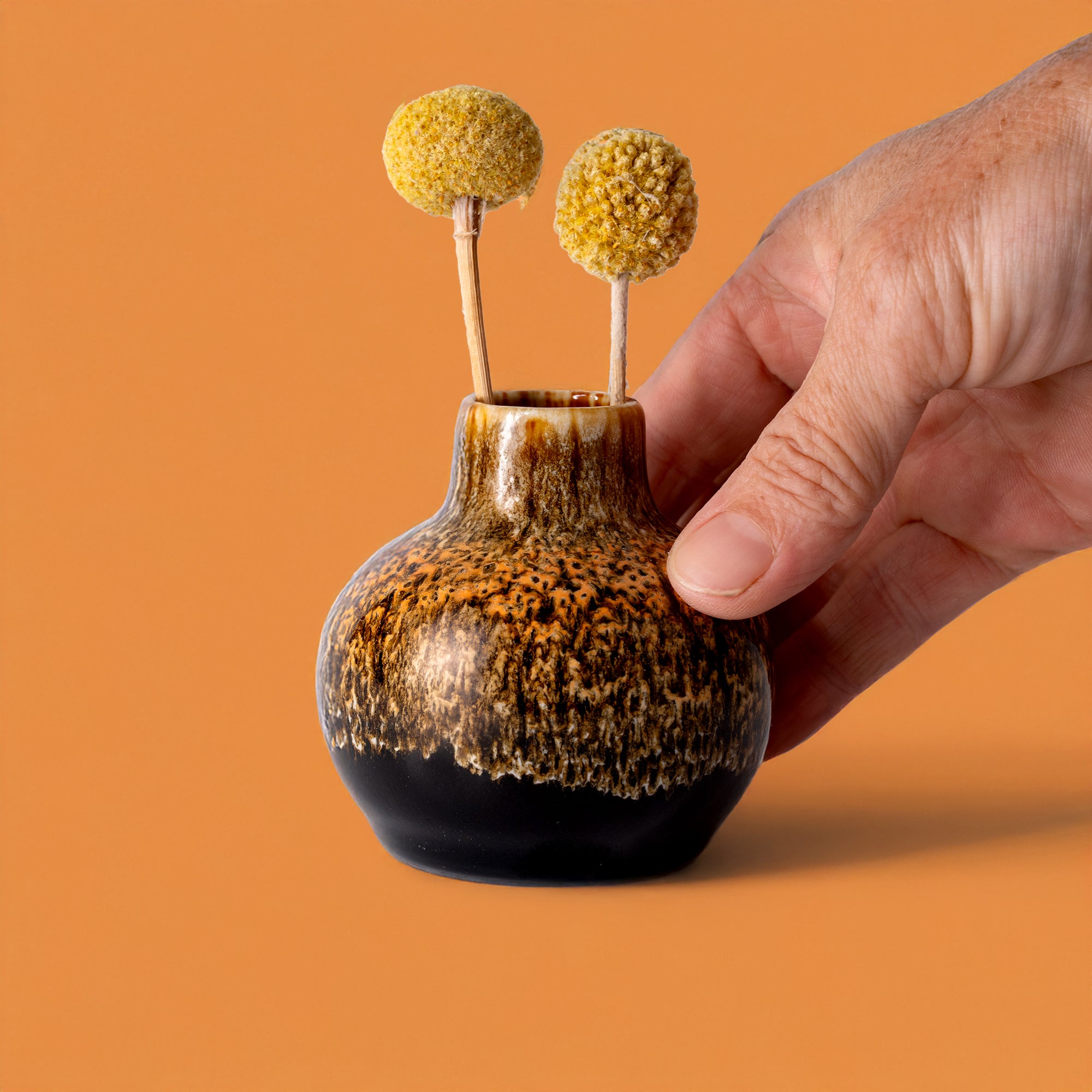 Obelia Ceramic Vase